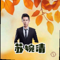 苏婉清